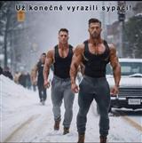 logo fitnesspodebrady.cz